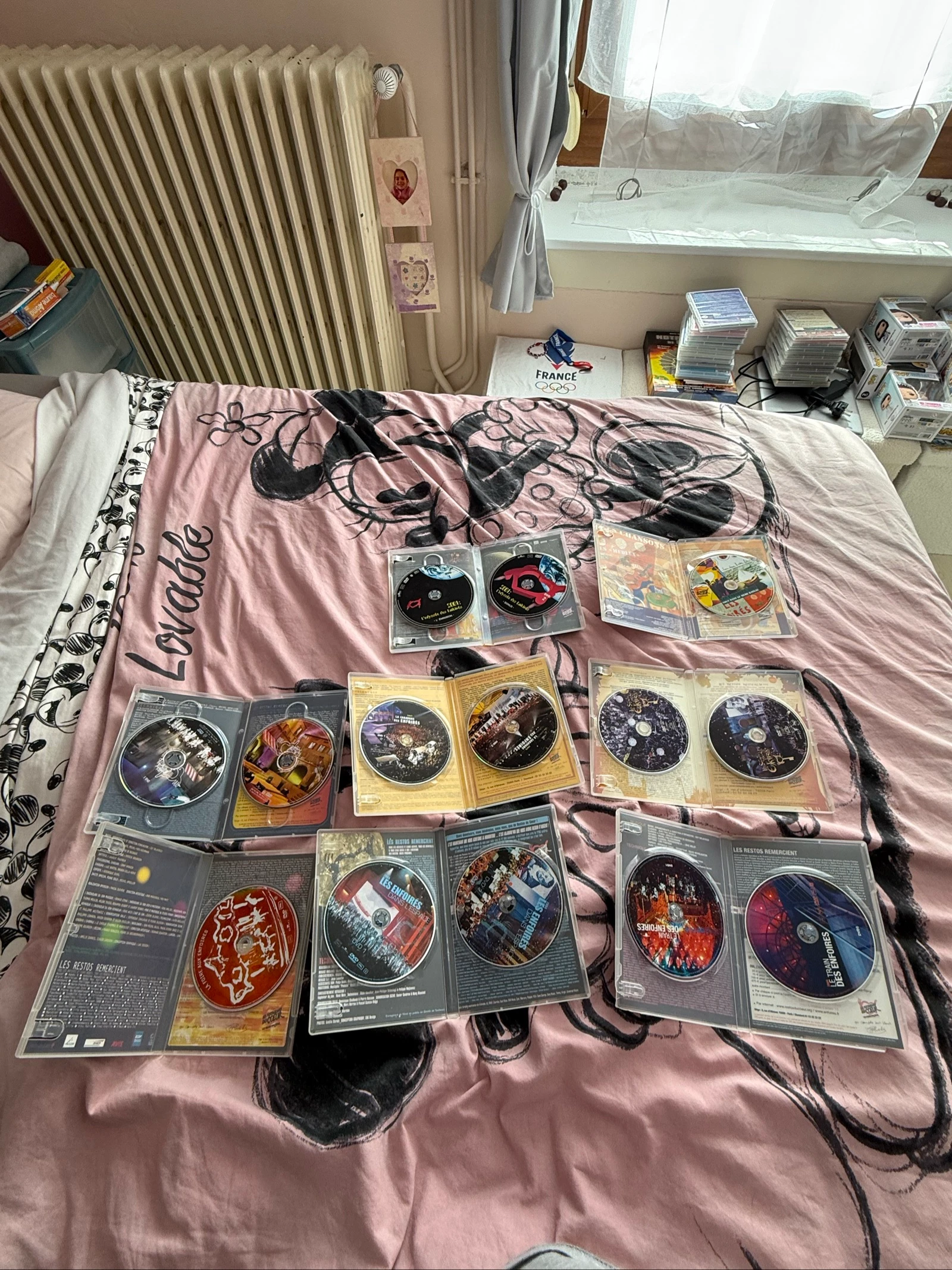 Lot DVD les enfoires de 2001 à 2026 + les 30 ans des enfoires – photo 10